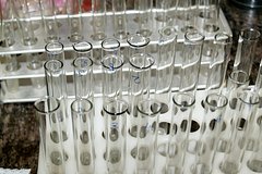 В подмосковном отеле выявили кишечные инфекции