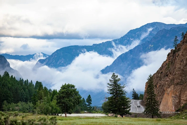 Road, fog, altai image. free for use