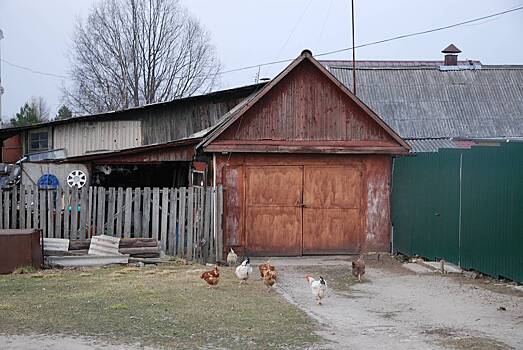 Dachnikam nazvali objazatelnye dejstvija na uchastke pered nachalom vesny 621e6c8.jpg
