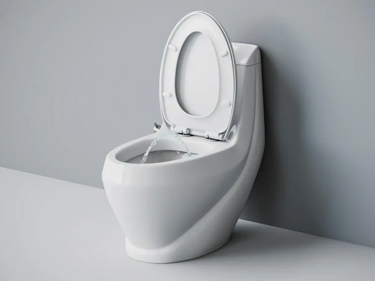 Унитаз моноблок laguraty 2160ac с функцией биде и с крышкой микролифт