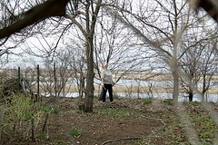 Дачникам дали советы по обработке сада весной