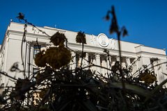 Депутат Верховной Рады призвал не принимать в вузы детей уклонистов