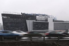 Интерпол заявил о готовности поддержать расследование теракта в «Крокусе»