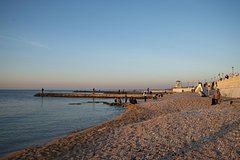 Маск оценил заявление о признании Крыма и Донбасса российскими