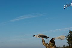 Над Брянской областью сбили украинский беспилотник