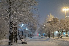 Названа неожиданная польза обильных снегопадов в Москве