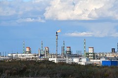 Путин объявил о газификации садовых товариществ