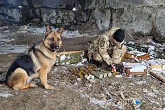 Служебная собака помогла росгвардейцам найти схрон с гранатами и огнеметом