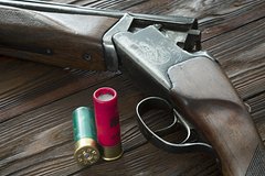 В российском поселке пристрелили щенка перед приездом губернатора