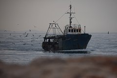 Володин сообщил о возвращении десятилетиями поедавшейся англичанами рыбы