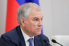 Володин высказался о возвращении смертной казни в России